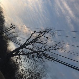 Meet your Posher, Cassidy